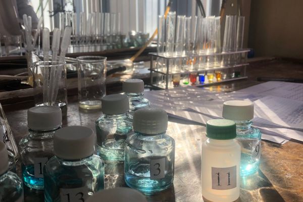 На химическом факультете состоялся региональный этап ВСОШ по химии